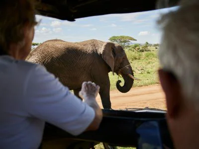 Twee mensen kijken vanuit een safarivoertuig naar een olifant