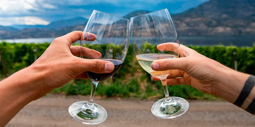 Stel proostend met wijn in de Okanagan Valley, Canada