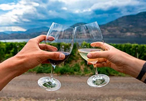 Een stel dat met een glas wijn proost in de Okanagan Valley, Canada