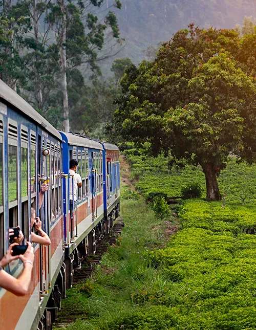 Treinreis van Nuwara Eliya naar Kandy door theeplantages in de hooglanden van Sri Lanka