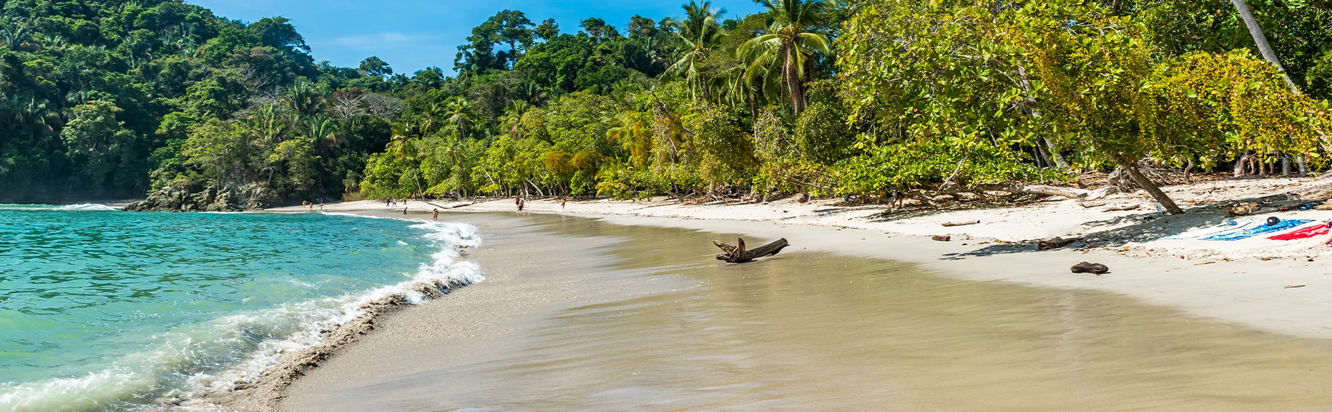 Tropisch strand in Manuel Antonio, Costa Rica