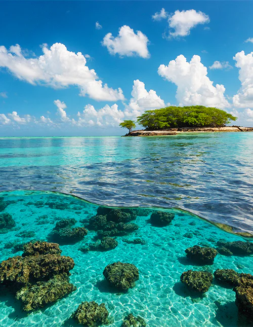 Foto van het prachtige turkooisblauwe water in Malindi Marine Park