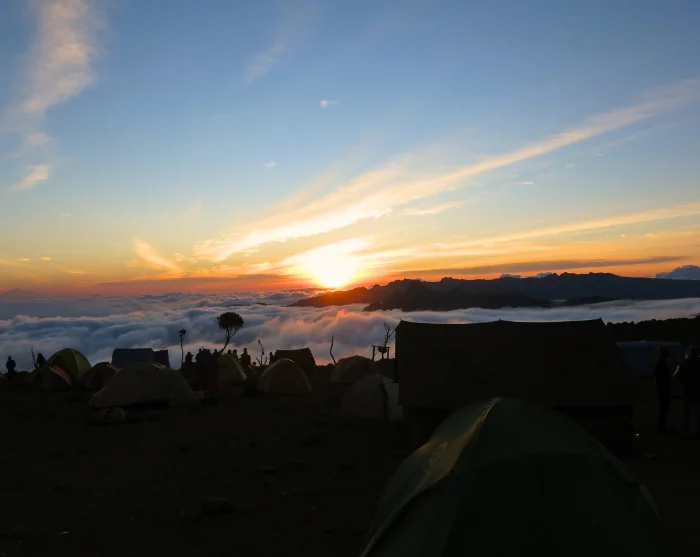 Afbeelding bekijken 38