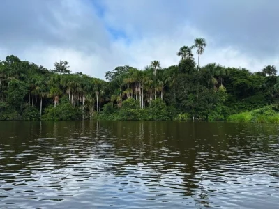Uitzicht op het Amazone-regenwoud vanaf de rivier