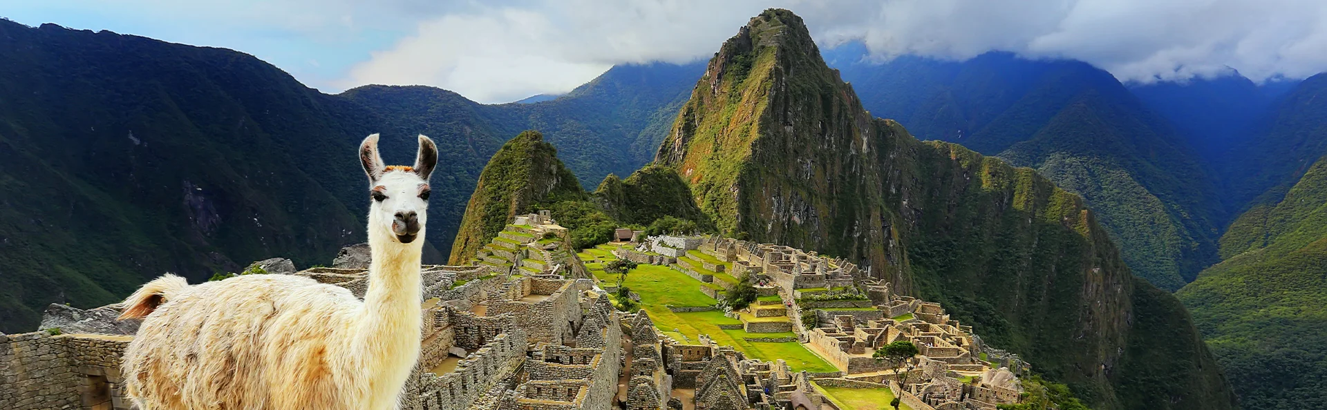 Een lama met op de achtergrond Machu Picchu en de majesteuze Andes.