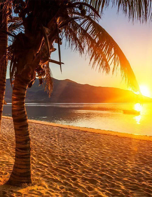 Prachtig palmomzoomd strand op Mauritius bij zonsondergang