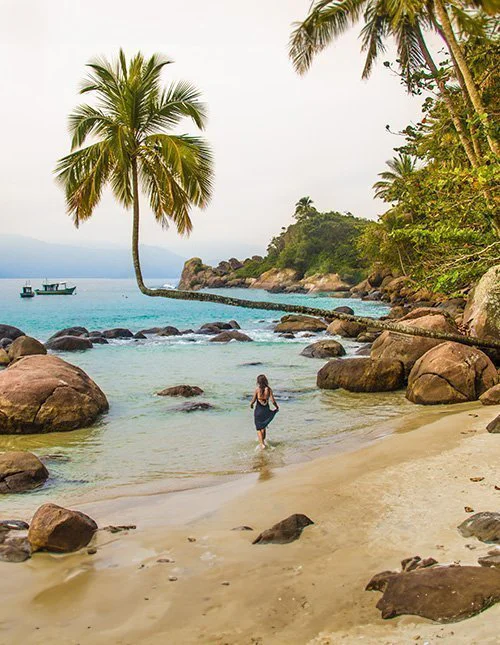 Prachtig strand met een overhellende palmboom op Ilha Grande