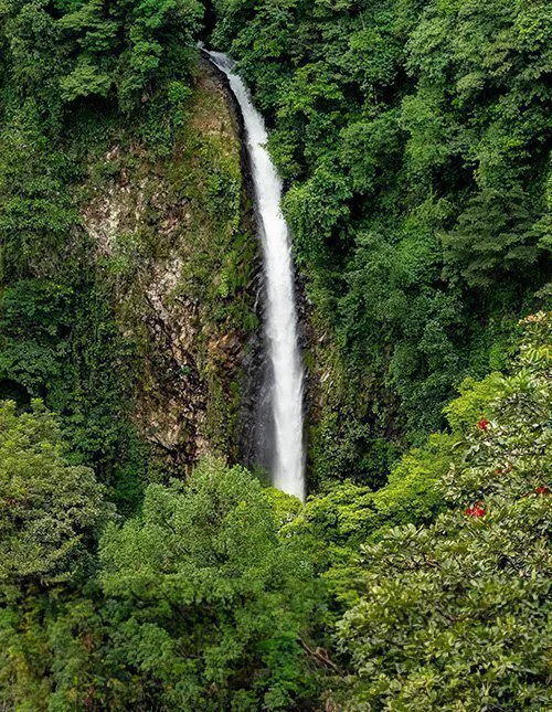 Een torenhoge waterval stort zich naar beneden, dwars door het dichte, weelderige regenwoud in Costa Rica