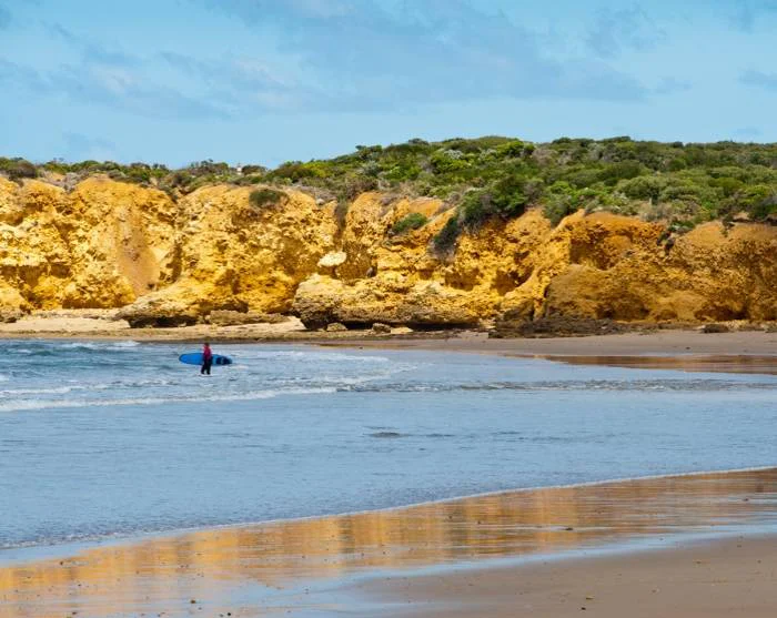 Afbeelding bekijken 37