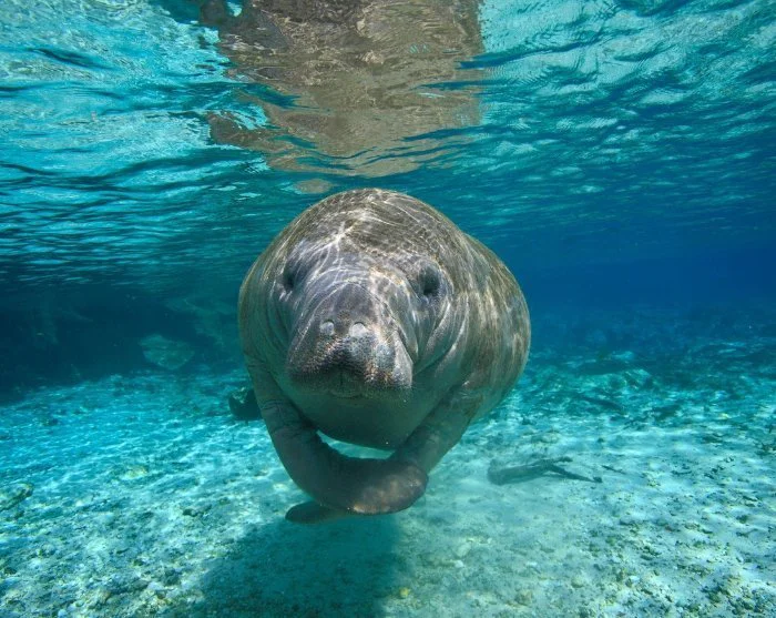 Afbeelding bekijken 10