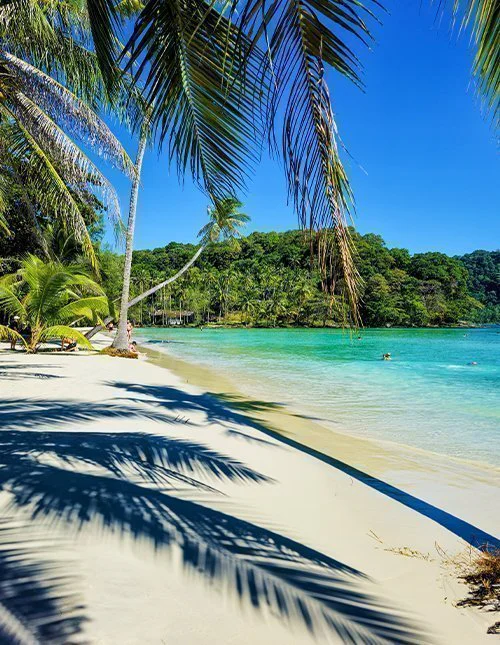 Weelderige palmbomen wiegen zachtjes boven het poederzachte zand van Koh Kood in Thailand