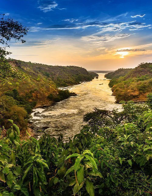 Murchison Falls nationaal park in Oeganda